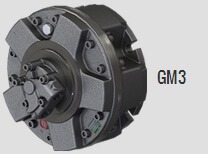 HDD machine big Italy Sai Piston Motor (1)